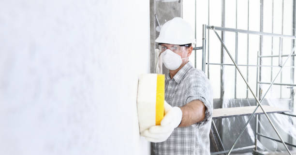 Best Mold Removal for HVAC Installations  in Sandy Hook, CT